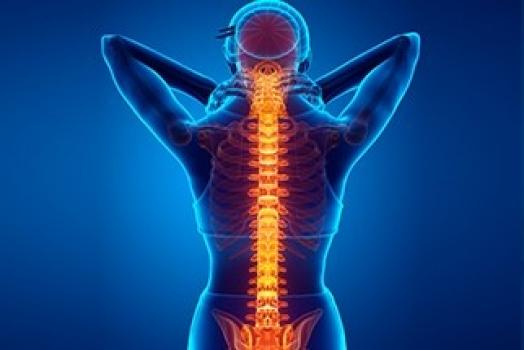 TECHNIQUES MYOTENSIVES APPLIQUÉES AU PELVIS ET AU RACHIS
